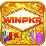 WINPKR game Official icon