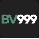Vb999 game official image